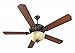 Craftmade K11139 Cecilia Unipack 52" Ceiling Fan with 26 Watts Light Kit and Pull Chain, 5 ABS Blades, Aged Bronze Textured