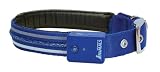 Company of Animals Vivid Flashing Safety Collar, M, Blue