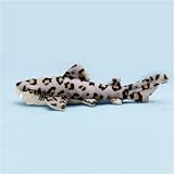Leopard Shark 18 Plush Stuffed Animal Toy