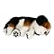 Wow Wee International Ltd. Beagle Puppy