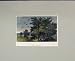 1840 Hand Coloured Print View Heronry Birds Trees