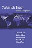 Sustainable Energy: Choosing Among Options