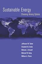 Sustainable Energy: Choosing Among Options