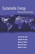 Sustainable Energy: Choosing Among Options