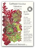 Lettuce Mesclun Valentine Certified Organic Seed