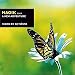 Magik IV / A New Adventure