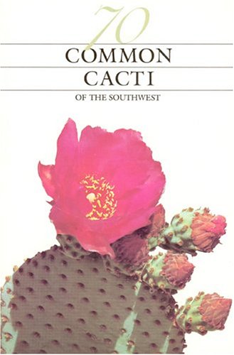 Southwest