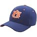 Zephyr Auburn Tigers ZH Fitted Hat