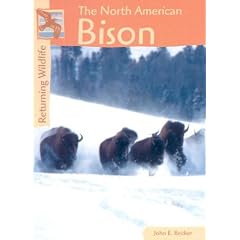 Returning Wildlife - The North American Bison