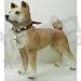 �Ƹ�����ʪ��Ω���ѡ��⤵47cm [QA507]