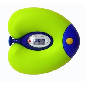 NScessity: Fish Bath Thermometer