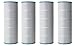 Set of four Filbur FC-1976 Replacement Cartridge for Pentair Clean and Clear Plus 320, Pack of 4 Cartridges (FC-6465)
