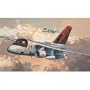 Revell 1/72 Lockheed S-3B Viking CAG Bird" "