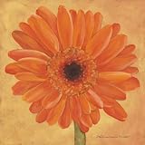 Orange Gerber Subject Art Poster Print by Stephanie Marrott, 12x12