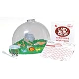 Insect Lore Ladybug Land