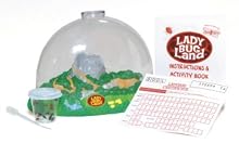 Insect Lore Ladybug Land