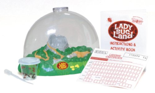 Insect Lore Ladybug Land