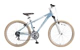 MTB-XC0 XC-3002 2012�N���f�� [�u���[�X�g�[��]