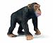 Schleich 14189  - Wild Life, Schimpansen-M&auml;nnchen