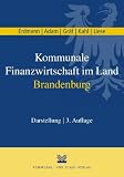  : Kommunale Finanzwirtschaft im Land Brandenburg: Darstellung