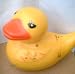 Waterproof Unsinkable Floating Duck Radio