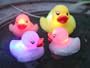 Flashy Quackers Family Gift Set