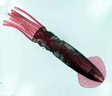 JT Giant Squid Brown Lure 11\