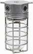 Designers Edge L-1706 One-Light Outdoor 100-Watt Incandescent Weather Tight Industrial Light with Clear Globe