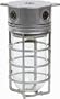 Designers Edge L-1706 One-Light Outdoor 100-Watt Incandescent Weather Tight Industrial Light with Clear Globe