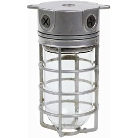 Designers Edge L-1706 One-Light Outdoor 100-Watt Incandescent Weather Tight Industrial Light with Clear Globe