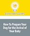 How To Prepare Your Dog for the Arrival of Your Baby: Tips for Expectant Parents