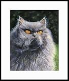 Smokey by Drew Strouble