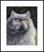 Smokey by Drew Strouble
