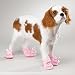 PINK BUNNY - X-LARGE - Doggie Slippers