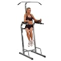 Best Fitness Vertical Knee Raise
