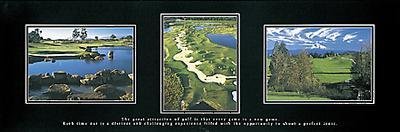Attraction of Golf -- Print