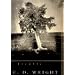 Tremble: Poems