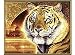 Schipper 609130454 Indien Bengal Tiger