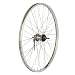 Alex X-101 Road Rear Wheel 26 x 1.75, Nexus 3-Speed Bolt-On, Silver