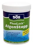 Soell 11002 Phoslock Algen Stopp 250 g