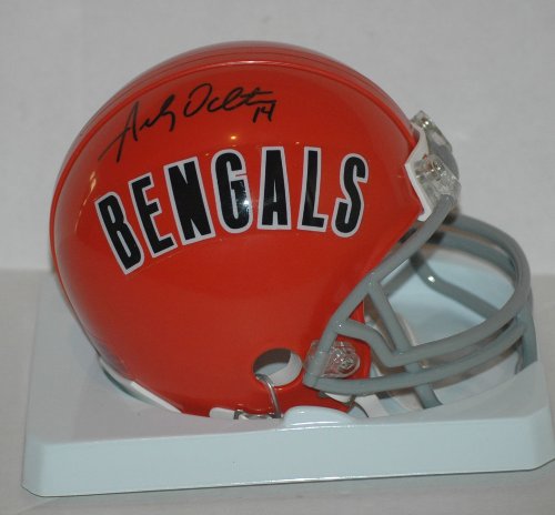 Andy Dalton Signed Cincinnati Bengals Mini Helmet