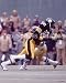 John Stallworth Pittsburgh Steelers 8x10 Photo