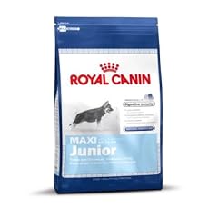 Royal Canin Maxi Junior, 1er Pack (1 x 10 kg Beutel) - Hundefutter