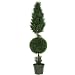 5' Cypress Ball and Cone Silk Tree (In-door/Out-door)