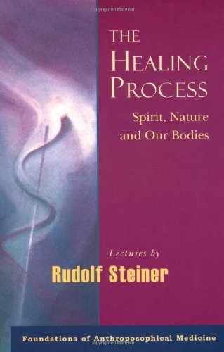 The Healing Process : Spirit, Nature & Our Bodies (Ravan Labour Studies)