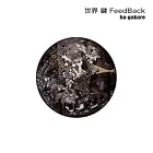 Sekai Kagi Feedback by Ha-Gakure
