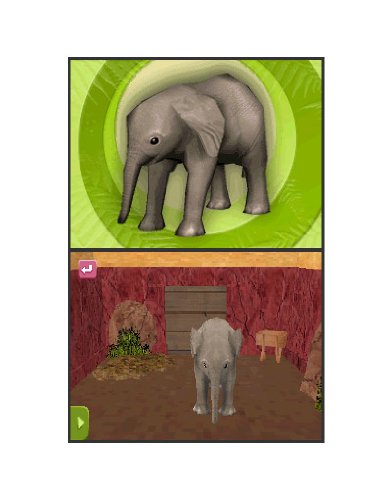 Mein eigener Tierbaby-Zoo