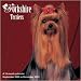 terrier8 - Yorkshire Terriers 2010 Wall Calendar