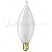 25 Pcs. 15w Candelabra Flame Frost Bulbs