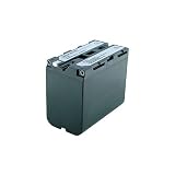 Sony Handycam DSR-PD170P Replacement Battery (DQ-RF970)